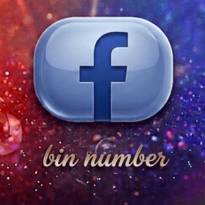 BIN NUMBER